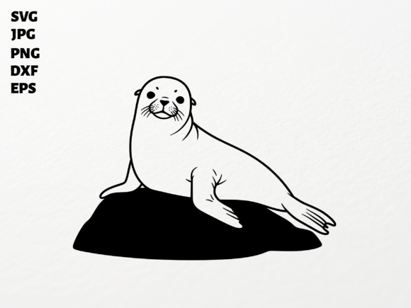 Download Sea Lion SVG for Cricut Sublimation PNG - Sublimation png Collection