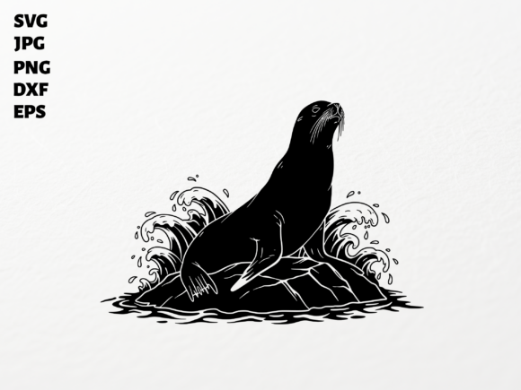 Download Sea Lion SVG for Cricut Sublimation PNG - Sublimation png Collection